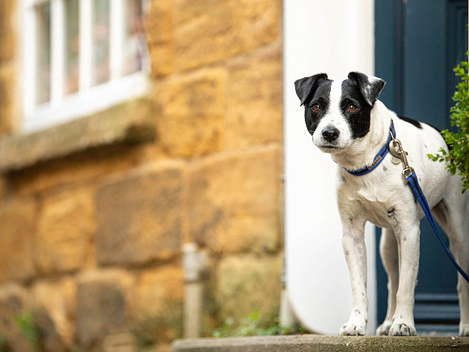 Sunnyside Cottage - Robin Hood's Bay